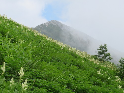 山わんこ　ボクのはいきんぐリポート　山行報告目次　日本アルプス　爺ヶ岳～鹿島槍ヶ岳　爺ヶ岳