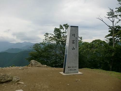 山わんこ　ボクのはいきんぐリポート　奥多摩　川苔山～本仁田山　川苔山頂上