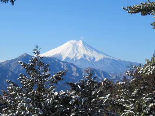 山わんこ　ボクのはいきんぐリポート　山行報告目次　中央線沿線/富士急行沿線　九鬼山・御前山　九鬼山から見る富士山