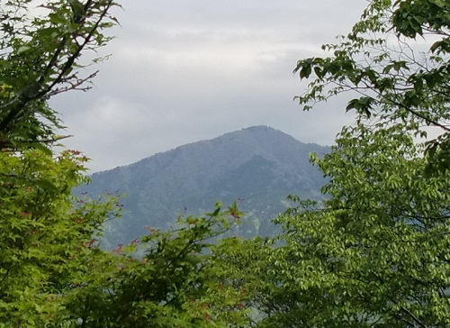 弘法山公園の道で木々の間から見えた大山。