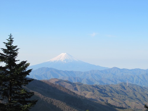 山わんこ　ボクのはいきんぐリポート　山行報告目次　大菩薩　小金沢連嶺　熊沢山から富士山