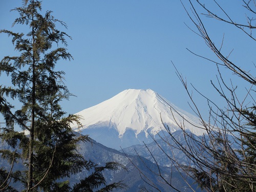 山わんこ　ボクのはいきんぐリポート　山行報告目次　中央線沿線/富士急行沿線　高畑山・倉岳山　高畑山から見る富士山