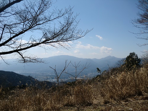 山わんこ　ボクのはいきんぐリポート　丹沢　高松山　箱根の眺望