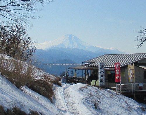 山わんこ　ボクのはいきんぐリポート　山行報告目次　奥多摩　臼杵山～陣馬山　富士山