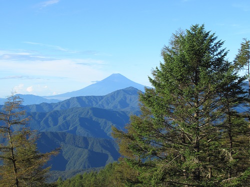 山わんこ　ボクのはいきんぐリポート　山行報告目次　奥多摩　鷹ノ巣山～雲取山　富士山