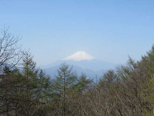 山わんこ　ボクのはいきんぐリポート　山行報告目次　中央線沿線/富士急行沿線　扇山～百蔵山　富士山