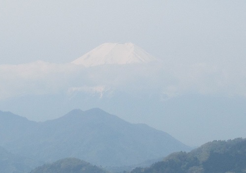 山わんこ　ボクのはいきんぐリポート　山行報告目次　大菩薩　岩殿山　富士山