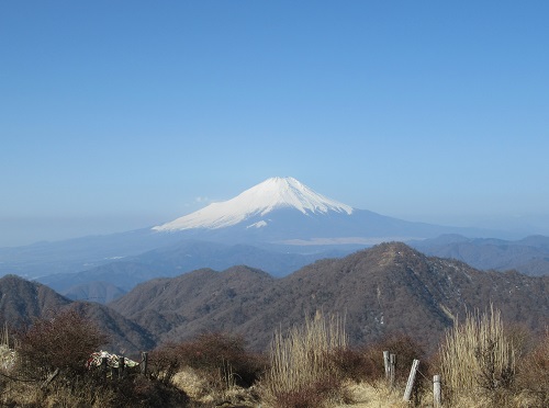 山わんこ　ボクのはいきんぐリポート　山行報告目次　丹沢　丹沢三ツ峰　富士山