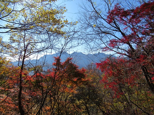 紅葉の木々の間から両神山が覗く。