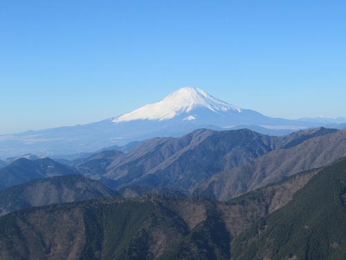 山わんこ　ボクのはいきんぐリポート　山行報告目次　丹沢　塔ノ岳　富士山