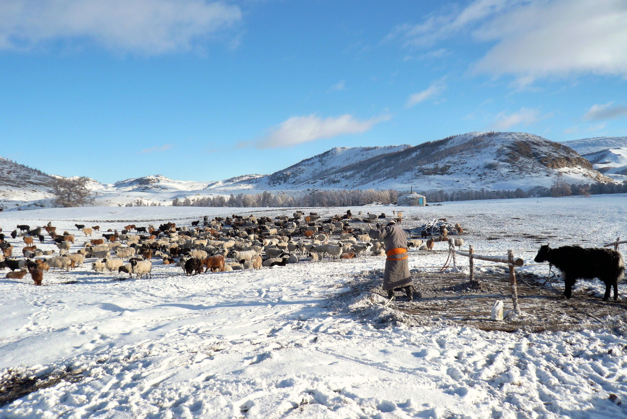 Paysage à l'arrivée de l'hiver