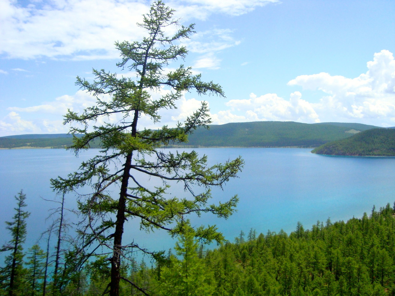 Une large foret couvre les alentours