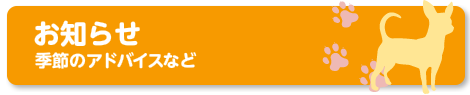 お知らせ　季節のアドバイスなど