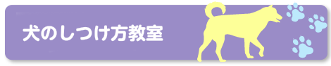 犬のしつけ方教室参加者募集！