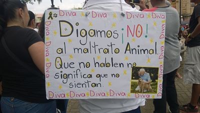 Digamos ¡NO! al maltrato Animal. Que no hablen no significa que no sientan.