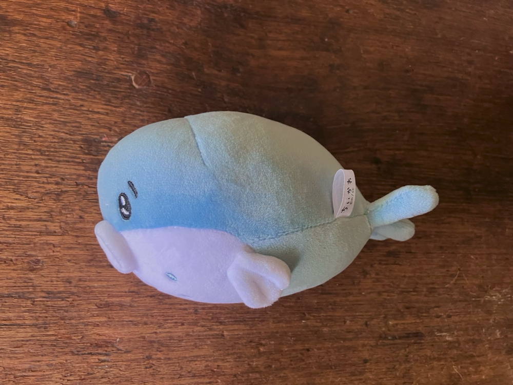 ちい河豚