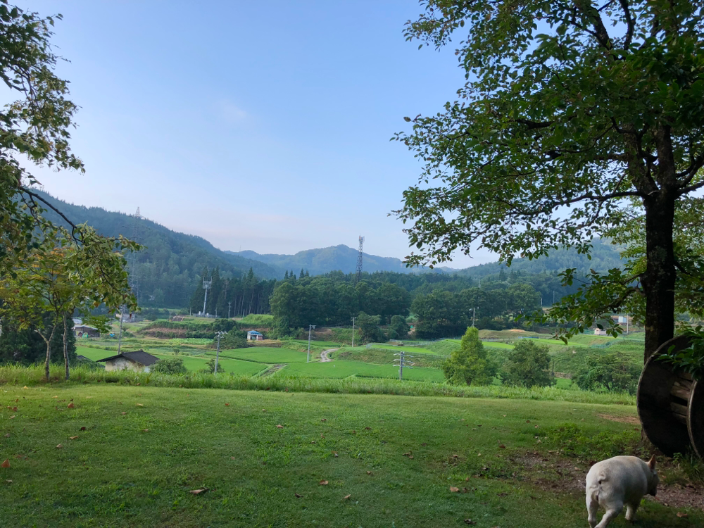 7月も今日で終わり。