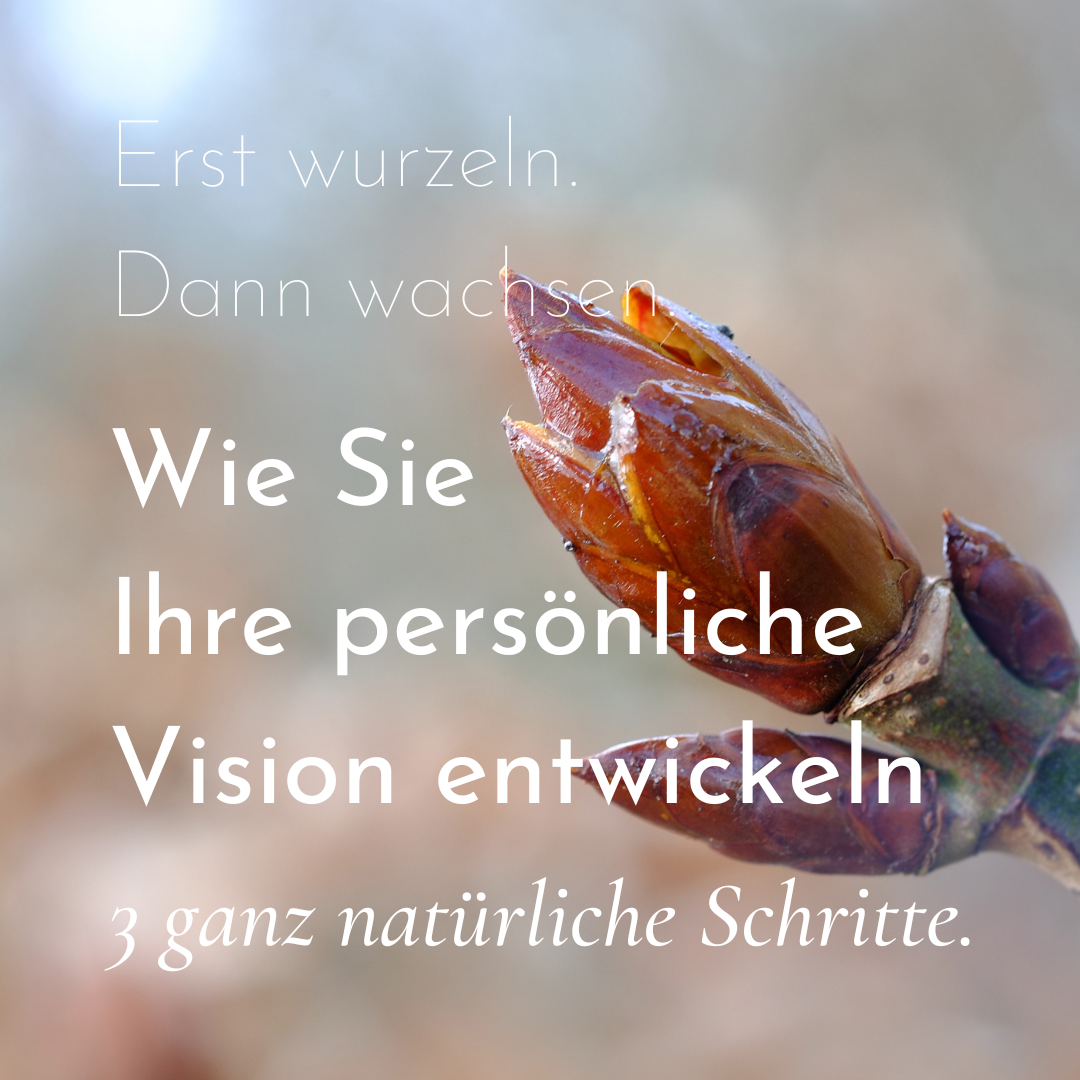 Wie Sie Ihre persönliche Vision entwickeln