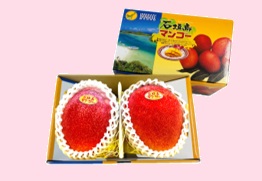 ショップ - 1628146025 ページ！