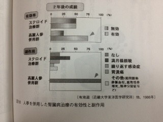 腎臓と高麗人参