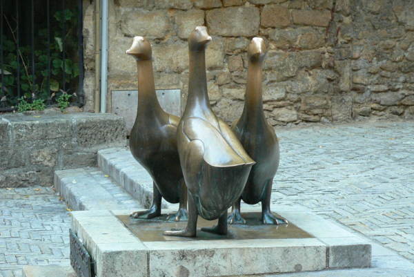 Les oies de Sarlat