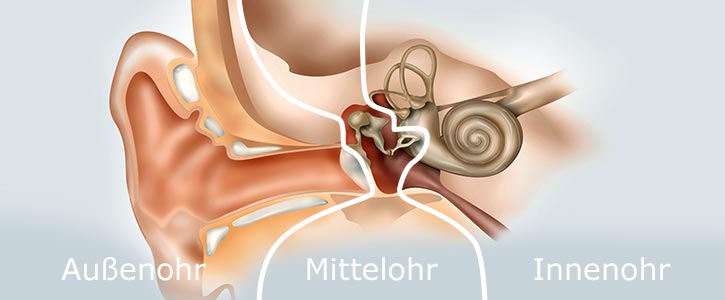 Der klassische Brummtonhörer nimmt den Ton höchstwahrscheinlich direkt im Innenohr wahr, doch die "Brummtonforschung" ist erst am Anfang.