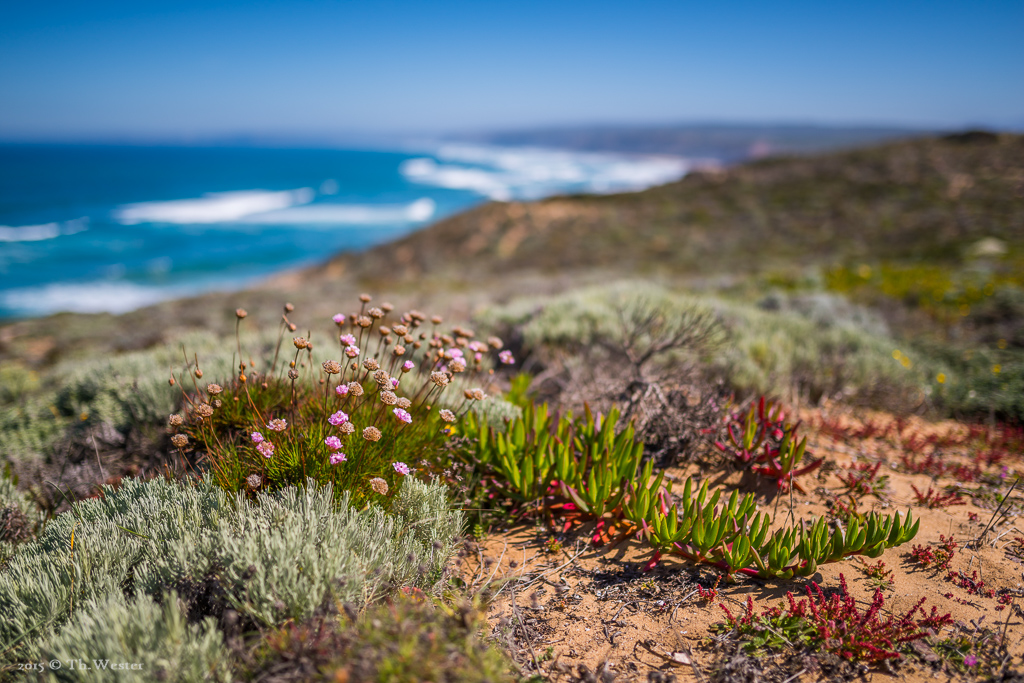 Offenblende ;-) (B284)