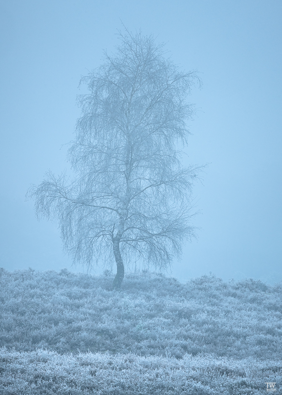 Der Nebel war stellenweise noch sehr dicht (B2934)