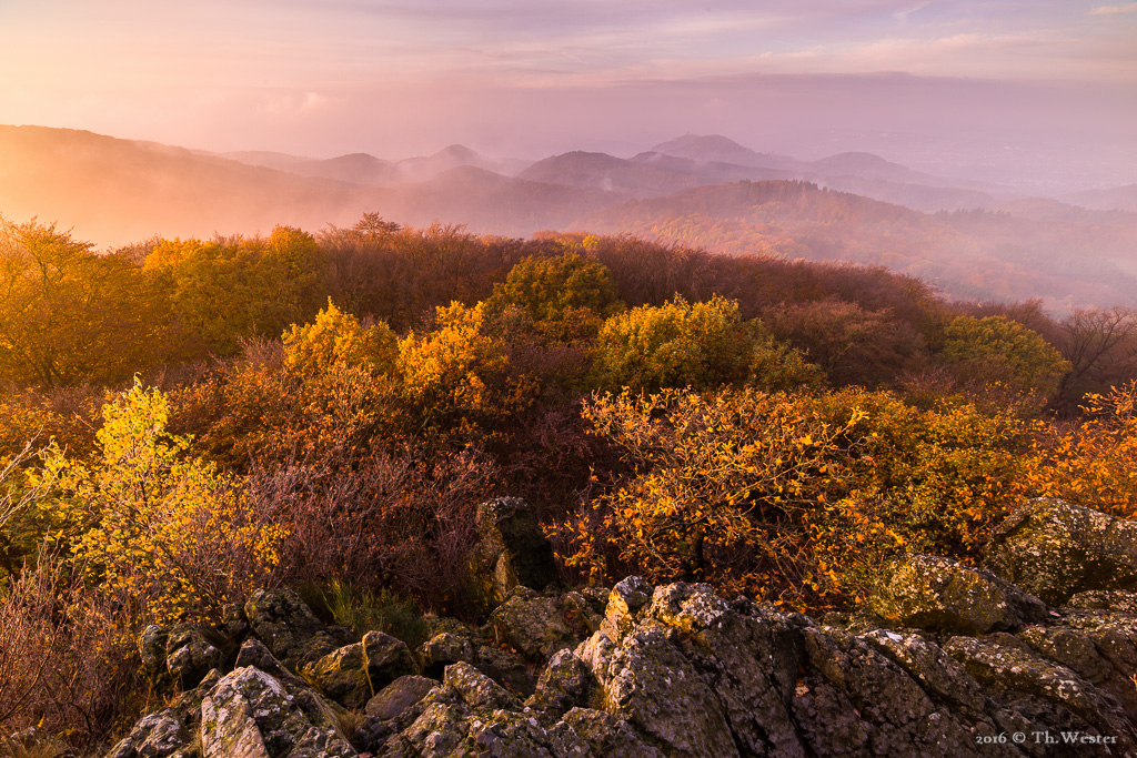 An diesem Morgen vor zwei Wochen war mir das Licht hold und das Panorama über das Siebengebirge war herrlich (B805)