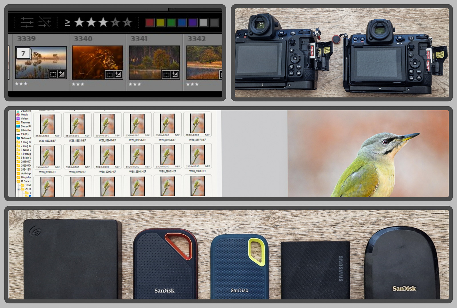 Selecting, organising and saving photos - my workflow