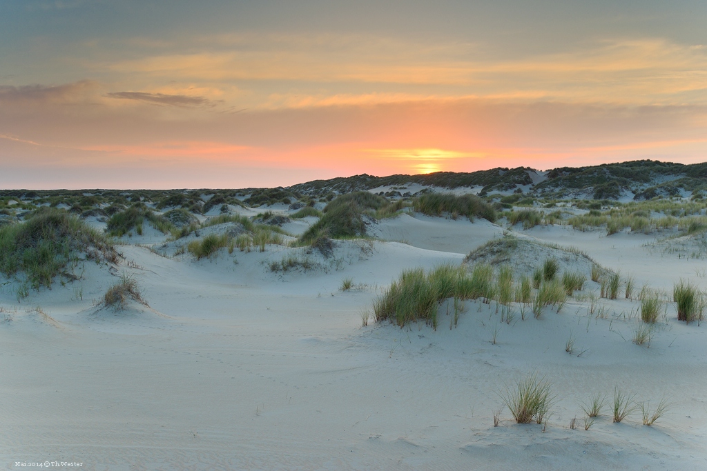 Kurz nach Sonnenuntergang in den Dünen von "de Hors" (B184)