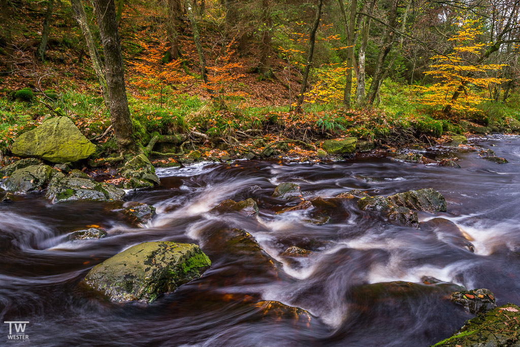 Fluss abwärts... (B1140)