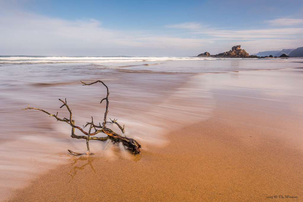 Strandgut ;-) (B371)