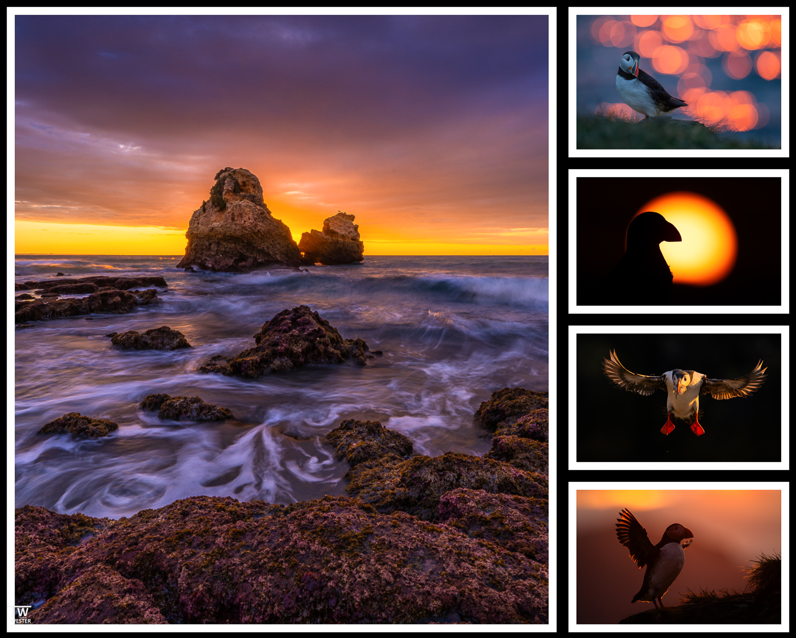 Was ich bei Gegenlichtaufnahmen beachte (Landschaften & Wildlife)