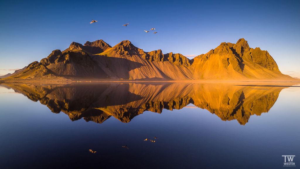 "Flight of the swans", Island (Stokksnes), an einem wunderschönen und absolut windstillen Oktoberabend