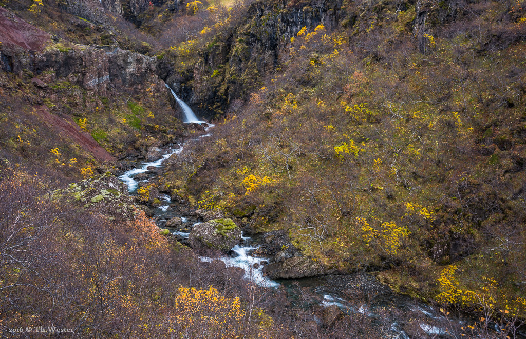 Der Höhepunkt des Herbstes war auf Island bereits vorbei, doch an einigen Stellen gab es noch sehr schöne Farben zu sehen (B728)