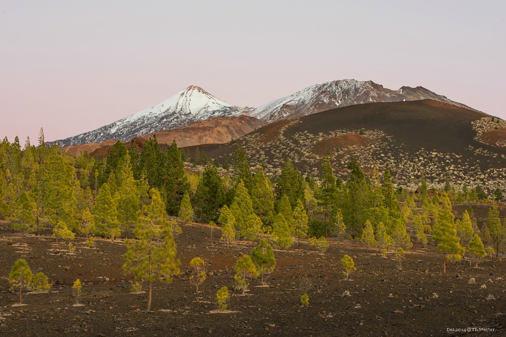 Im Nationalpark "del Teide". An diesem Abend, kurz nach Sonnenuntergang, färbte sich der Himmel ganz leicht rosa: die Farben dort oben waren sehr schön (B227)