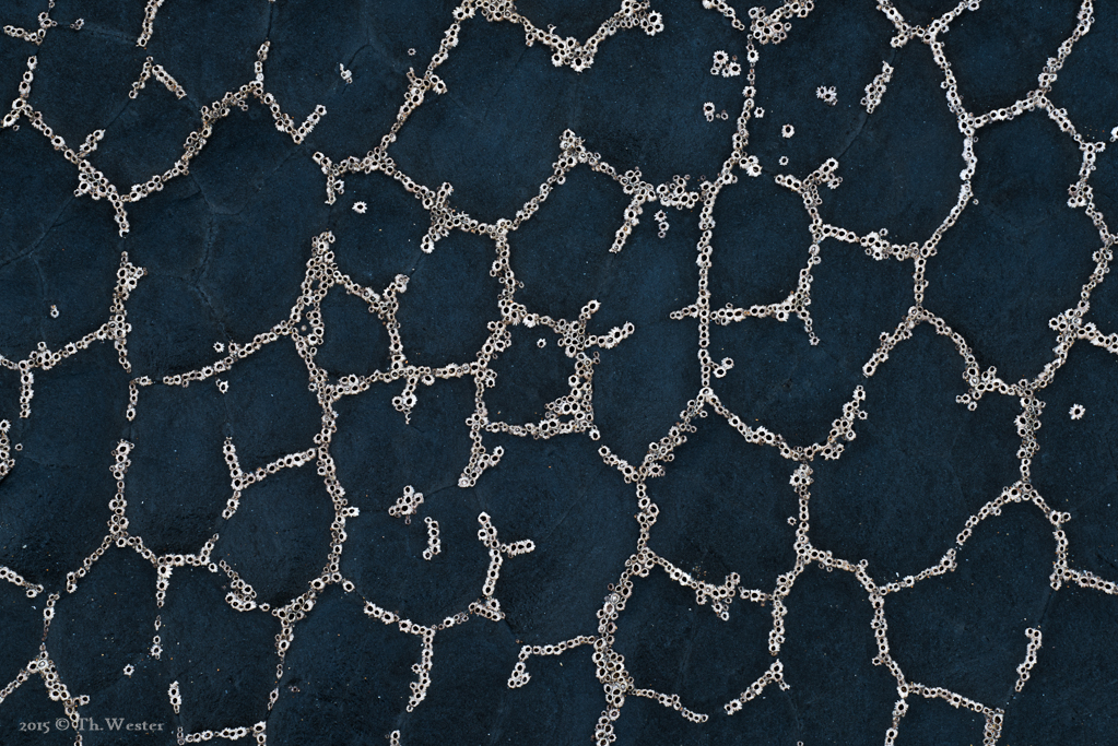 Auf den Felsen (B291)