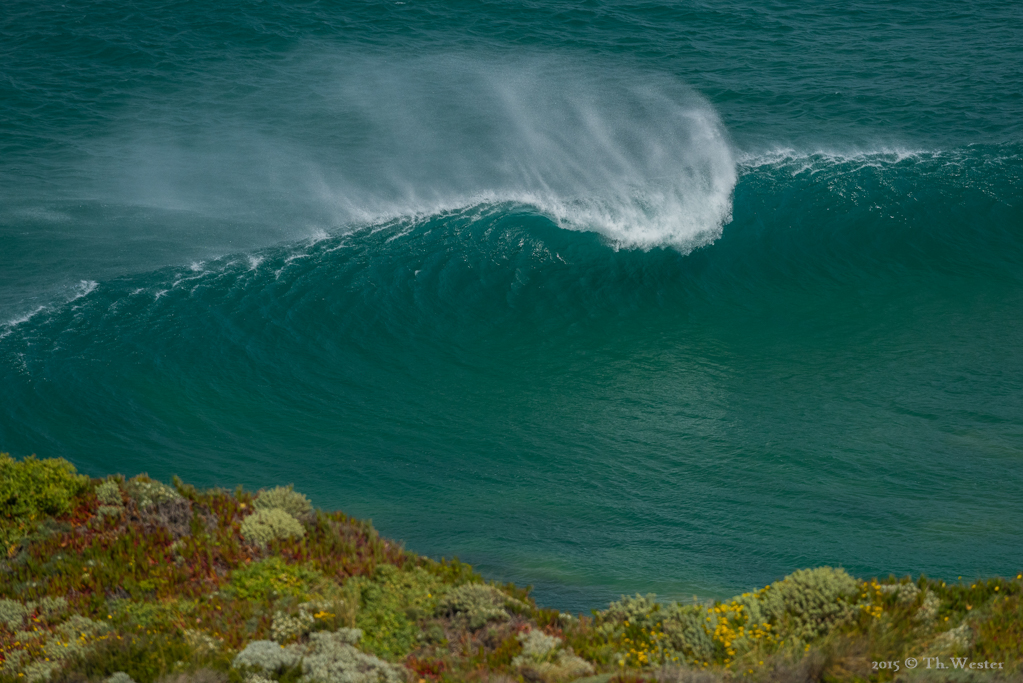 Das ist der eigentliche Grund, warum ich immer nach Portugal wollte (B296)