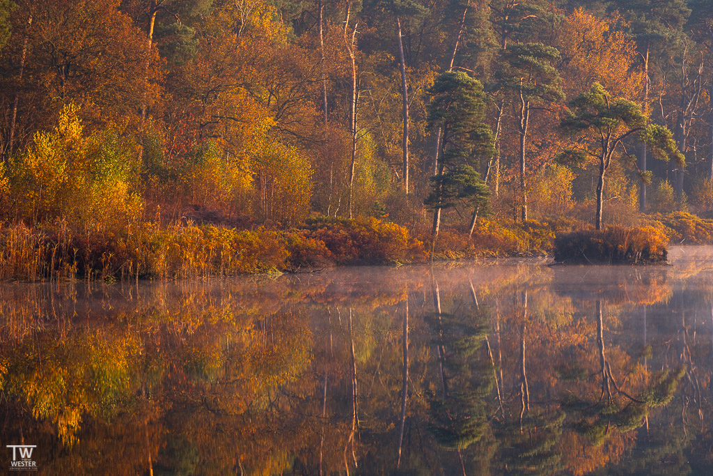 Herbstfarben am See (B1837)