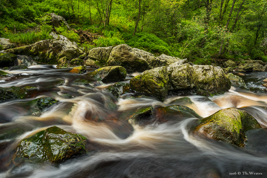 Im oberen Flussabschnitt... (B597)