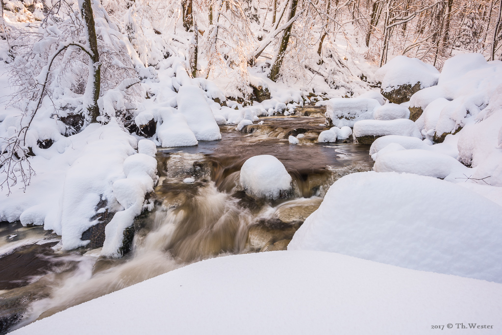 Morgens früh schien bei den ersten Sonnenstrahlen der Fluss goldgelb (B904)