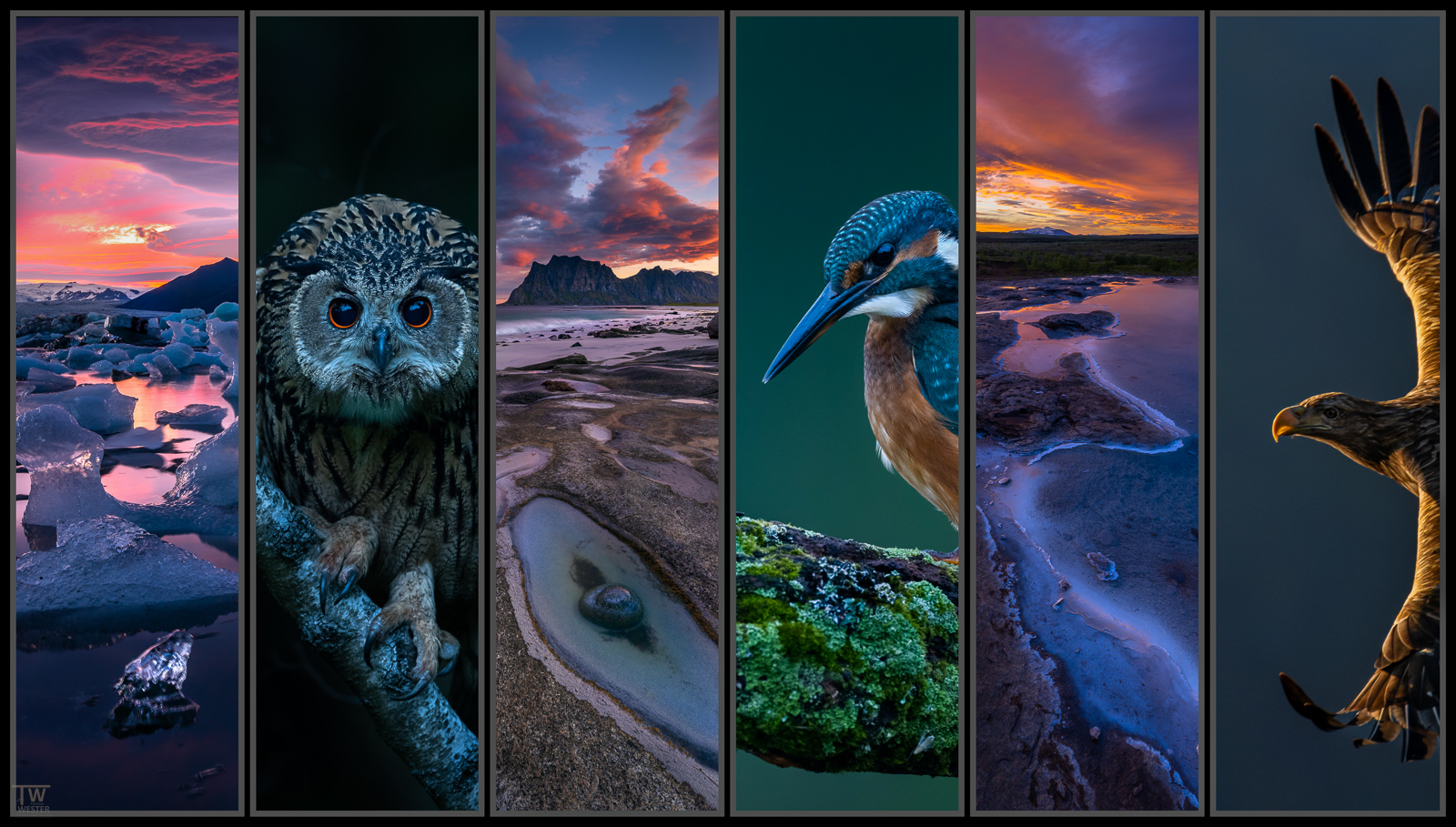 Combining wildlife and landscape photography – does that work well?