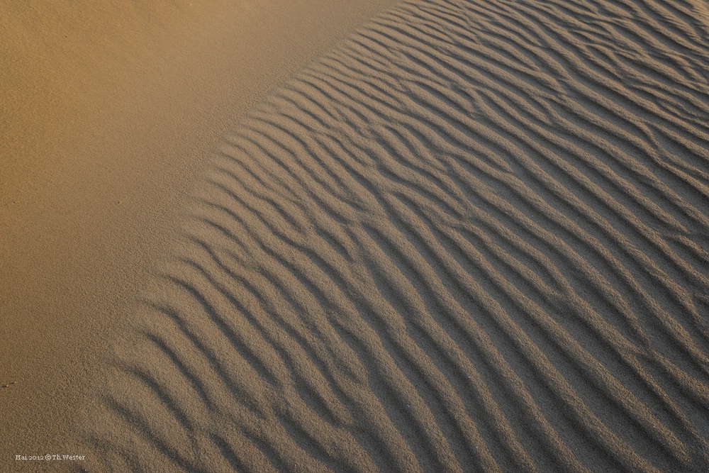 Dünen-Formen auf Texel (B73)