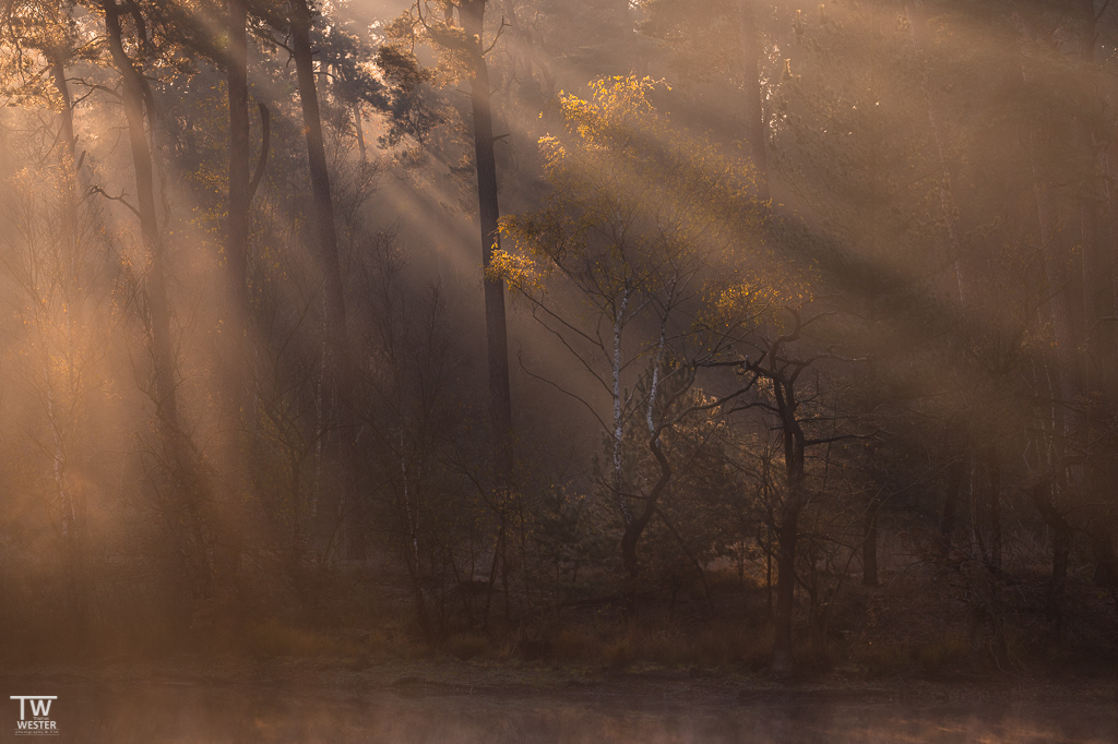 Die Lichtstrahlen wurden in den -an Gewässern liegenden- Wäldern deutlich sichtbar (B1862)