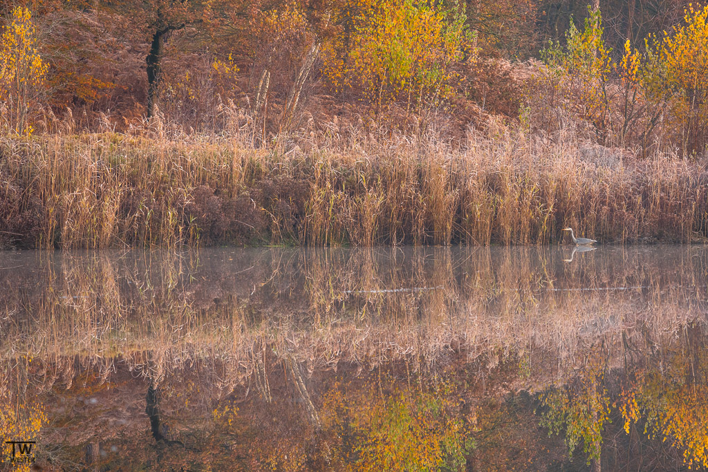 Die Farben des Spätherbst… (B1850)