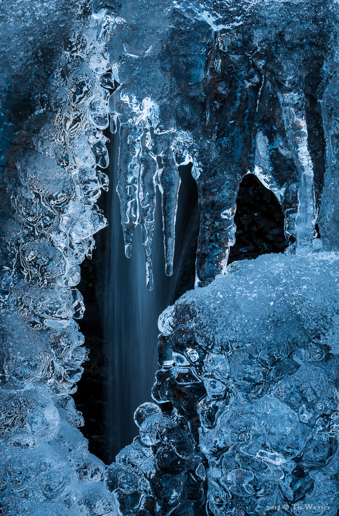 Als die Temperaturen anzogen, formierten sich wunderbare Eisdetails (B899)