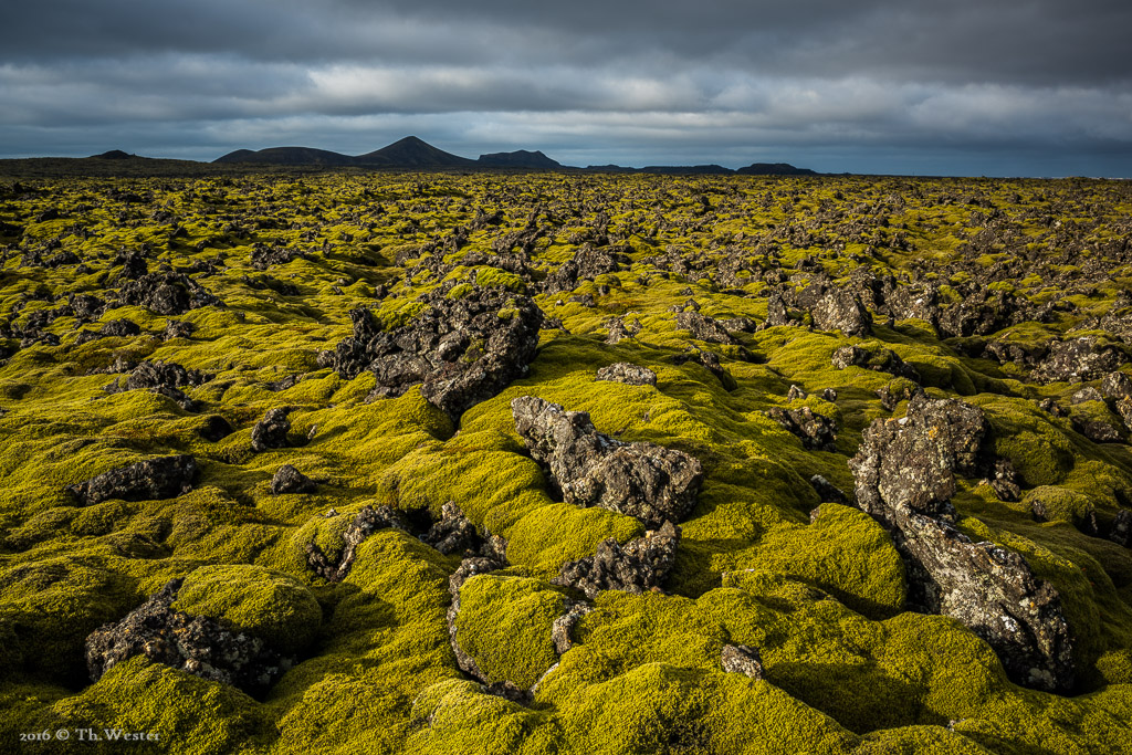 Schon auf dem Weg zum ersten Etappenziel beeindruckte die Weite der moosbewachsenen Lava-Landschaft (B738)