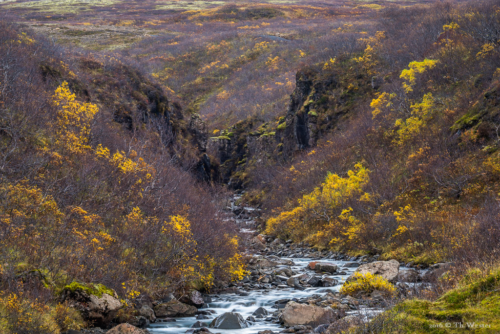 Flusslandschaft im "Skaftafell Nationalpark" (B793)