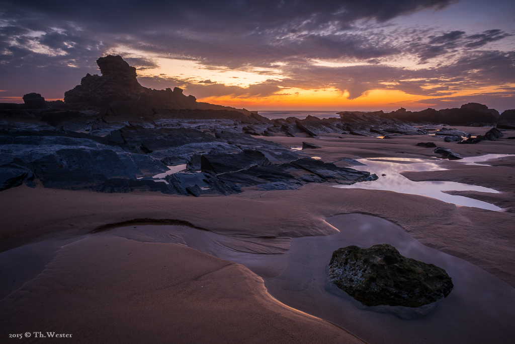 Bei Ebbe ergab sich der Zugang zu vielen interessanten Formen (B308)